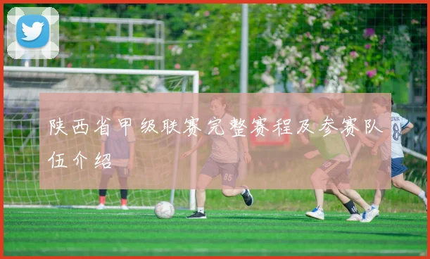 陕西省甲级联赛完整赛程及参赛队伍介绍