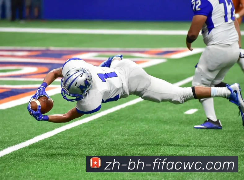 世界杯在线观看平台生态图