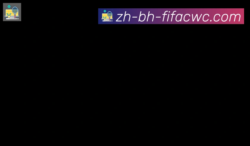 世界杯在线观看合作伙伴