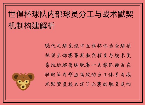 世俱杯球队内部球员分工与战术默契机制构建解析